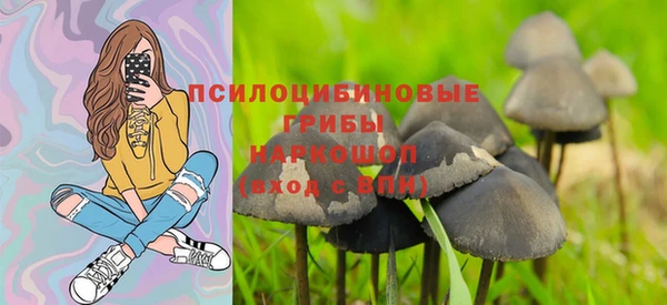 тгк Аркадак